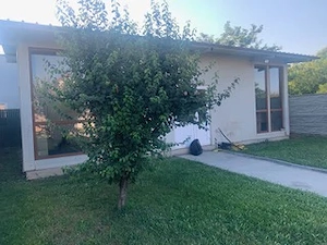 Casa P+M Bariera Valcii -1000mp teren - imagine 3
