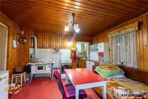 Casa in inima statiunii Covasna, cu gradina, vie si pomi fructiferi - imagine 14