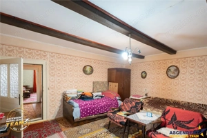 Casa in inima statiunii Covasna, cu gradina, vie si pomi fructiferi - imagine 11