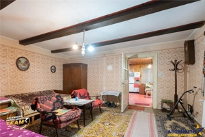 Casa in inima statiunii Covasna, cu gradina, vie si pomi fructiferi - imagine 2