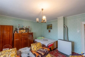 Casa in inima statiunii Covasna, cu gradina, vie si pomi fructiferi - imagine 20