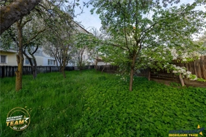 Casa in inima statiunii Covasna, cu gradina, vie si pomi fructiferi - imagine 4