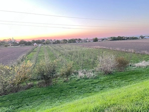 Livadă de vânzare   teren intravilan 7500mp Crai Nou (com.Giulvăz) 