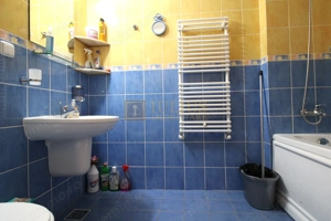 Zona linistita, posibilitate decontare-Sagului - imagine 9