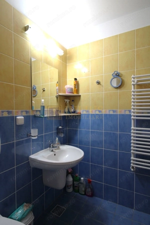 Zona linistita, posibilitate decontare-Sagului - imagine 10