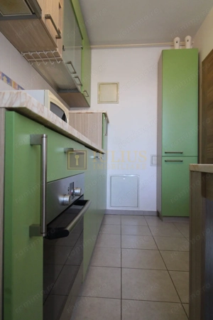Zona linistita, posibilitate decontare-Sagului - imagine 7