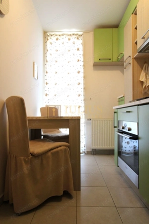 Zona linistita, posibilitate decontare-Sagului - imagine 6