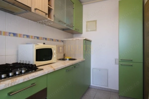 Zona linistita, posibilitate decontare-Sagului - imagine 8