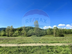 Teren 2,786mp Sighetu Marmatiei / Strada Zimbrului