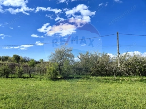 Teren 6,458mp Sighetu Marmatiei / Strada Doboies