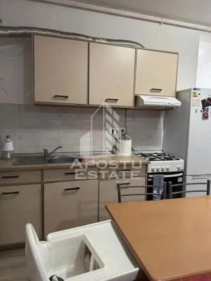 Apartament cu 2 camere, Timisoara, Calea Girocului, Centrala proprie - imagine 4