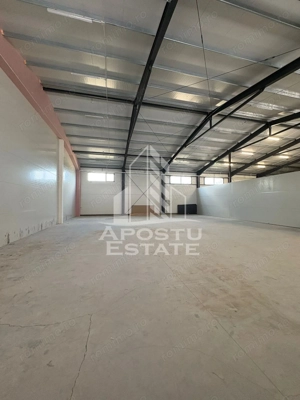 Hala cu acces tir,  300 MP Mosnita noua - imagine 3