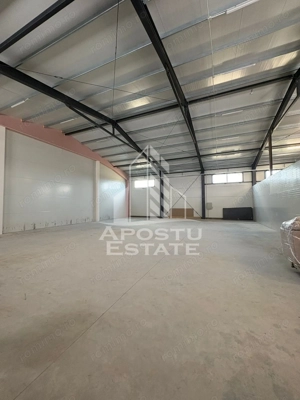 Hala cu acces tir,  300 MP Mosnita noua - imagine 4