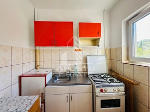Apartament 1 camera zona Micalaca - imagine 4