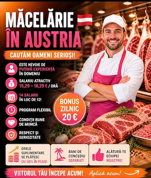 Personal necalificat pt abator in Germania  Muncitori cu experiență la carmangerie in Austria  - imagine 2