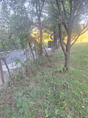 Vand teren casa in orasul pucioasa - imagine 5