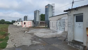 Ferma avicola functionala, judetul Bihor