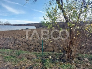 Teren intravilan 1687 mp pentru cabana zona de gradini Cisnadie - imagine 2