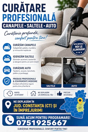 Curățare  detailing canapele , fotolii , saltele chiar și scaune , banchetă și mochetă auto 