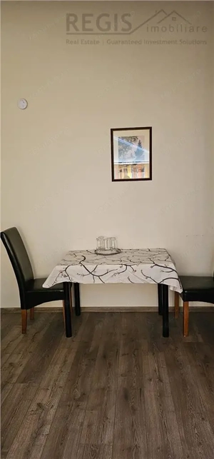Studiou nou, la prima inchiriere, zona centrala – Strada Nicopole - imagine 12
