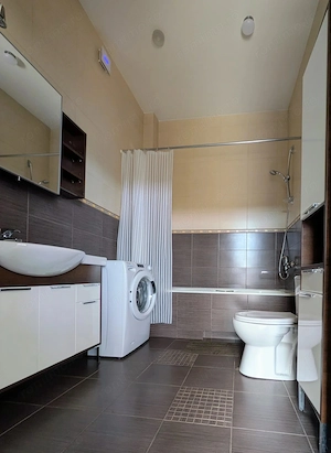Apartament cu o camera de inchiriat in zona Olimpia Stadion  - imagine 3