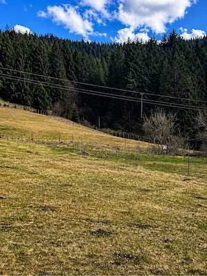    Teren intravilan 6.260 mp Vidra Alba   lângă Arieș | utilități | se poate împărți - imagine 5
