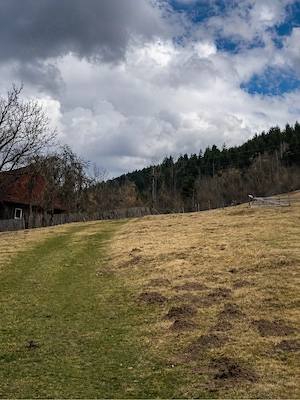    Teren intravilan 6.260 mp Vidra Alba   lângă Arieș | utilități | se poate împărți - imagine 4