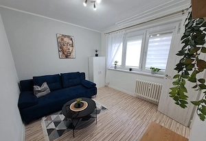 De inchiriat apartament cu o camera in zona Complexului Stundetesc - imagine 3