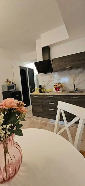 Exclusive Residence (Copou) - Garsonieră - imagine 2