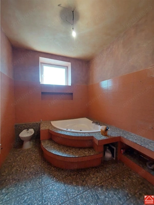 Casa spatioasa cu teren mare, pe colt, in Periam - imagine 12
