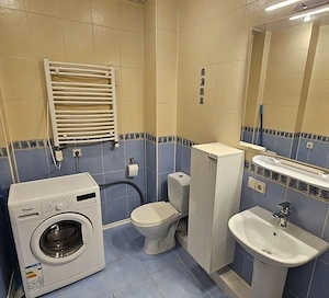 Apartament cu o camera de inchiriat in zona Complex Studentesc - imagine 4