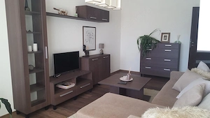 Apartament cu 2 camere de inchiriat in zona Dacia - imagine 3