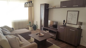 Apartament cu 2 camere de inchiriat in zona Dacia - imagine 2