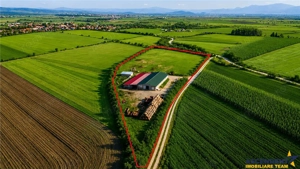 FILM! 18.000 mp, extravilan, agricol+ constructii:ferma,investitii agricole, Rotbav, Brasov - imagine 2
