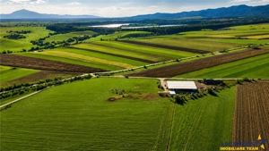 FILM! 18.000 mp, extravilan, agricol+ constructii:ferma,investitii agricole, Rotbav, Brasov - imagine 6