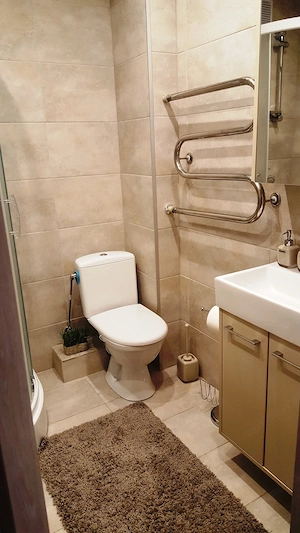 Apartament cu o camera de inchiriat in zona Bucovina - imagine 4