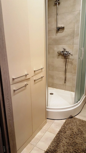 Apartament cu o camera de inchiriat in zona Bucovina - imagine 5