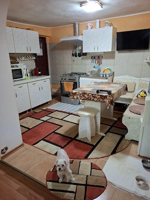 Vând casă din cărămidă renovată (2025) sector 1 bucuresti p+1 - imagine 8