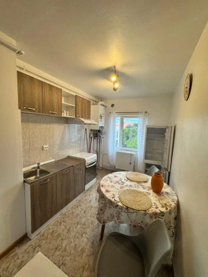 Apartament 2 camere- Take Ionescu - imagine 5