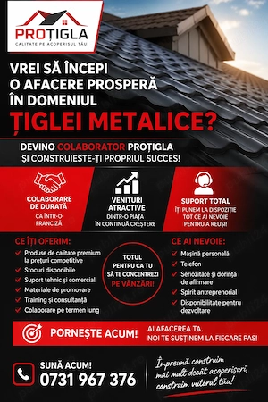 Caut colaboratori vânzări țiglă metalică (tip franciză)