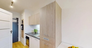 De inchiriat apartament cu o camera in zona Take Ionescu - imagine 2