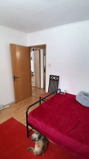 Vanzare 2 camere Berceni - imagine 2