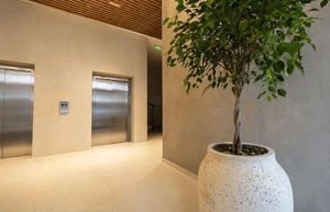 2 camere Complex Ateneo Timisoara
