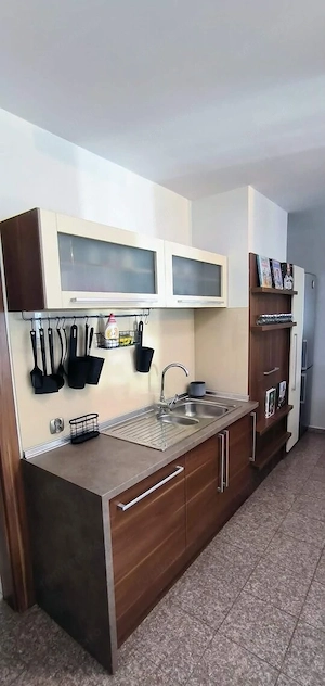De inchiriat apartament cu 2 camere in zona Sagului - imagine 3