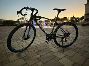 Bicicleta Cursiera