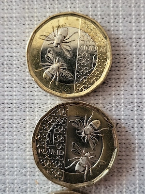 moneda anglia one pound  - imagine 2