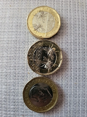 moneda anglia one pound  - imagine 3