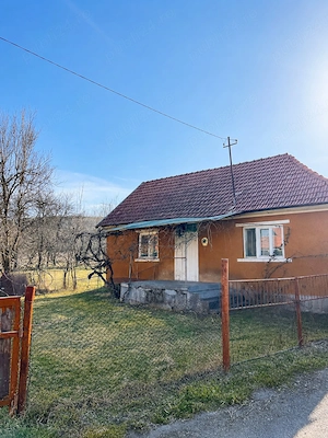 Casă la țară cu livadă - liniște, natură și amintiri din copilărie   Dăbâca - imagine 2