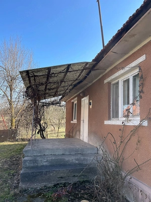 Casă la țară cu livadă - liniște, natură și amintiri din copilărie   Dăbâca - imagine 4