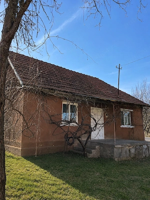 Casă la țară cu livadă - liniște, natură și amintiri din copilărie   Dăbâca - imagine 3